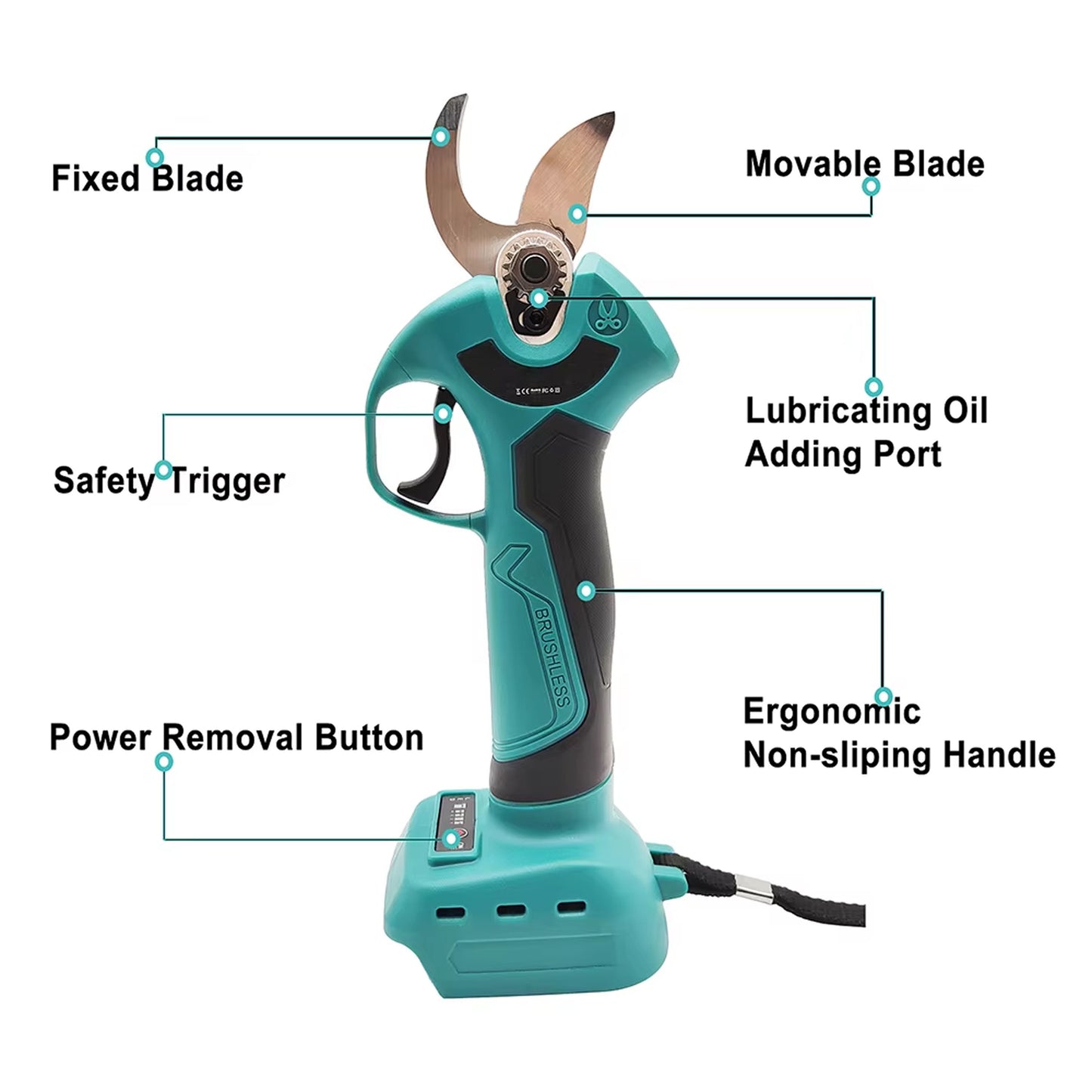 EdgePrune