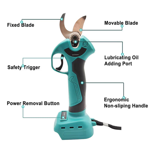 EdgePrune