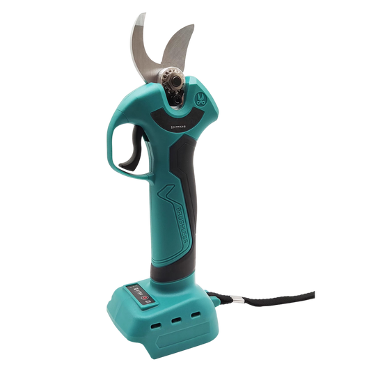 EdgePrune