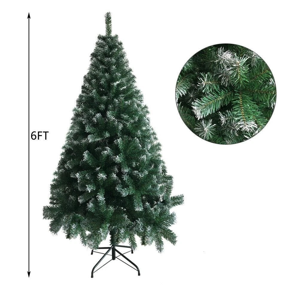 FestivPine