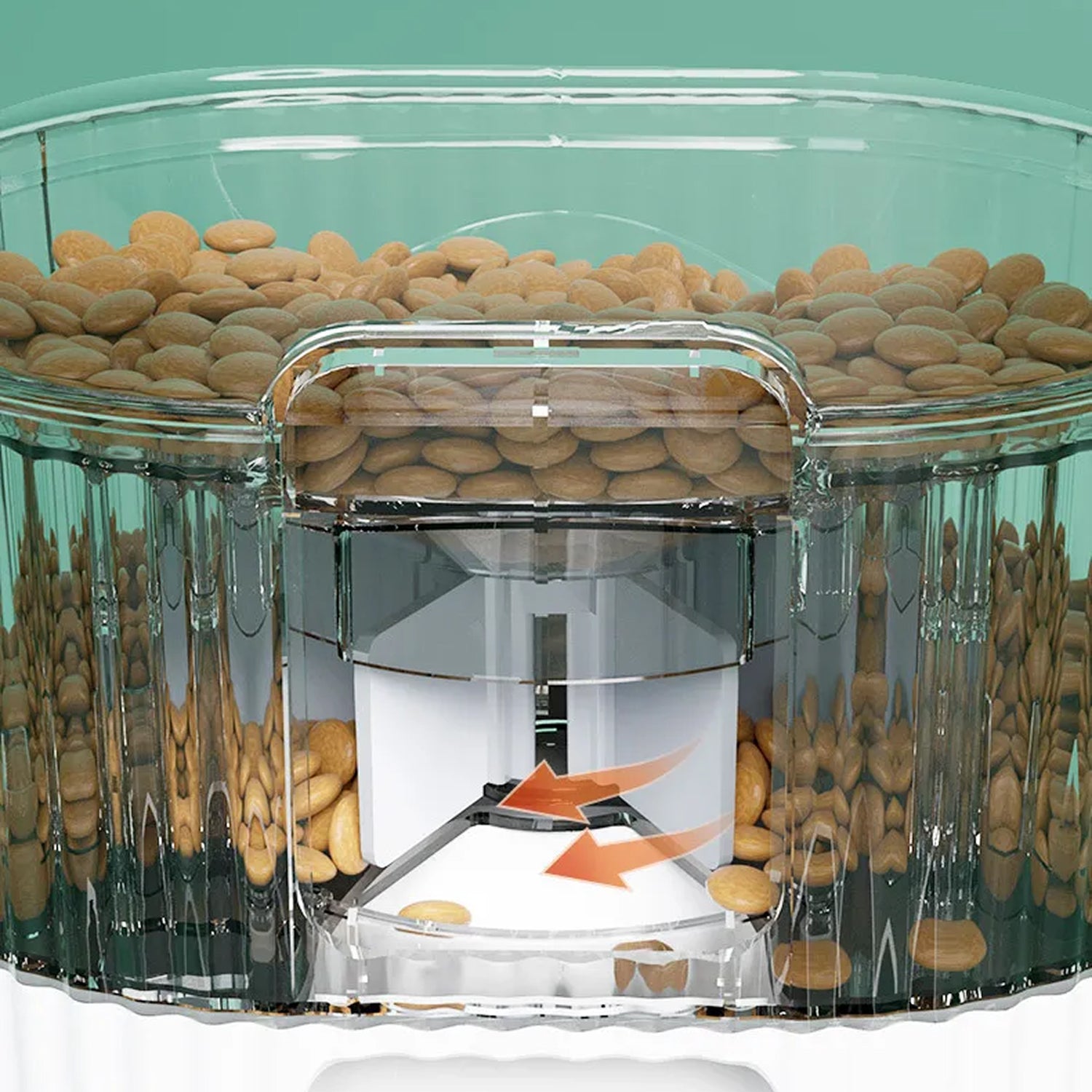 fiddi-pal-img-12.jpg__PID:f195ffe8-bc07-4ebb-acfe-f1c533e52805