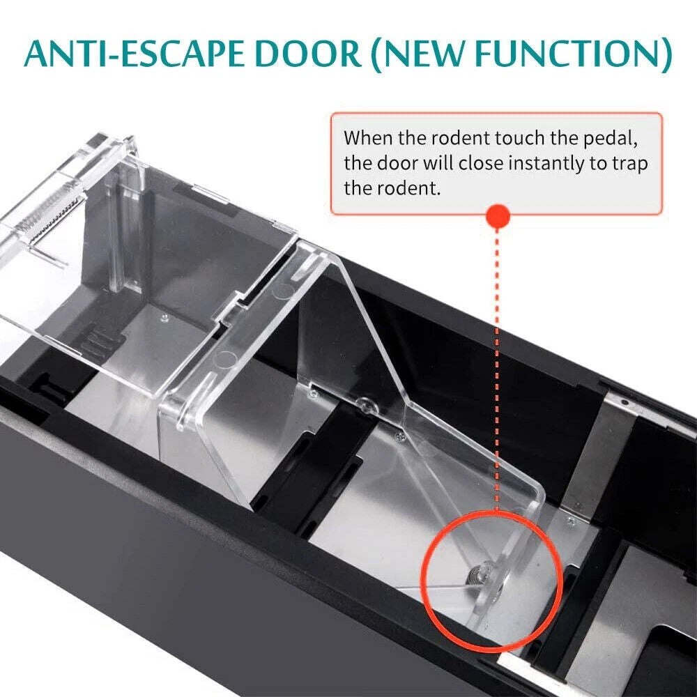 mice-grab-v2-img-11.jpg__PID:f751af8b-e527-4e3c-9a5f-ee1211ace818
