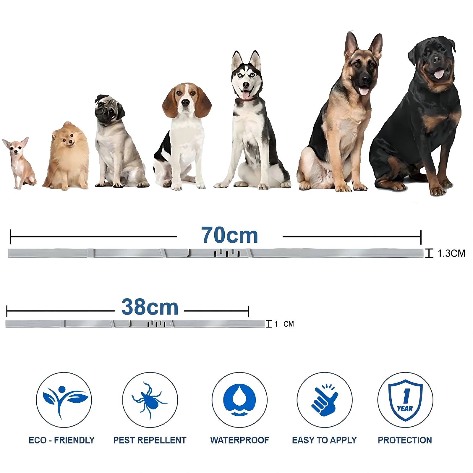 PetBrotex