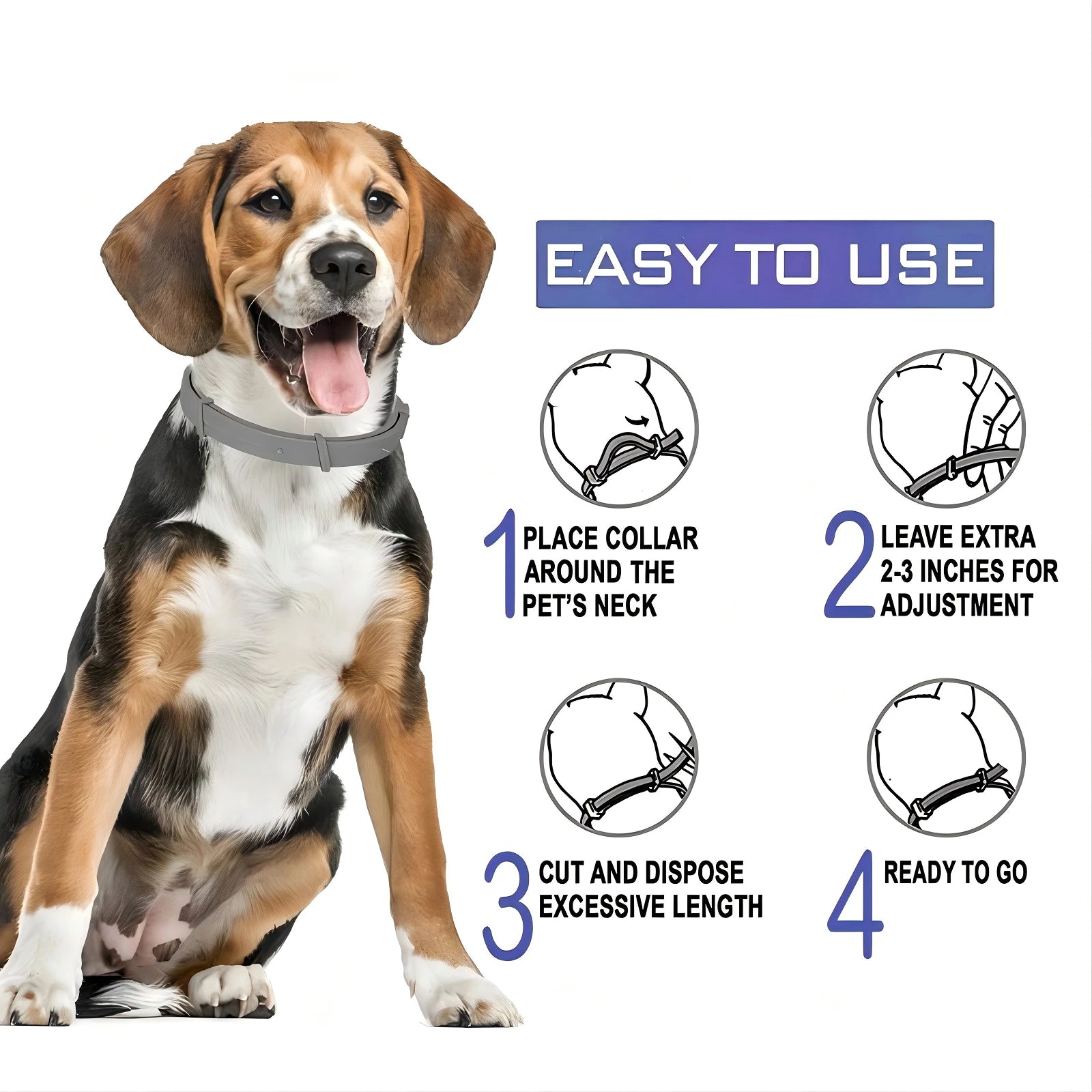PetBrotex