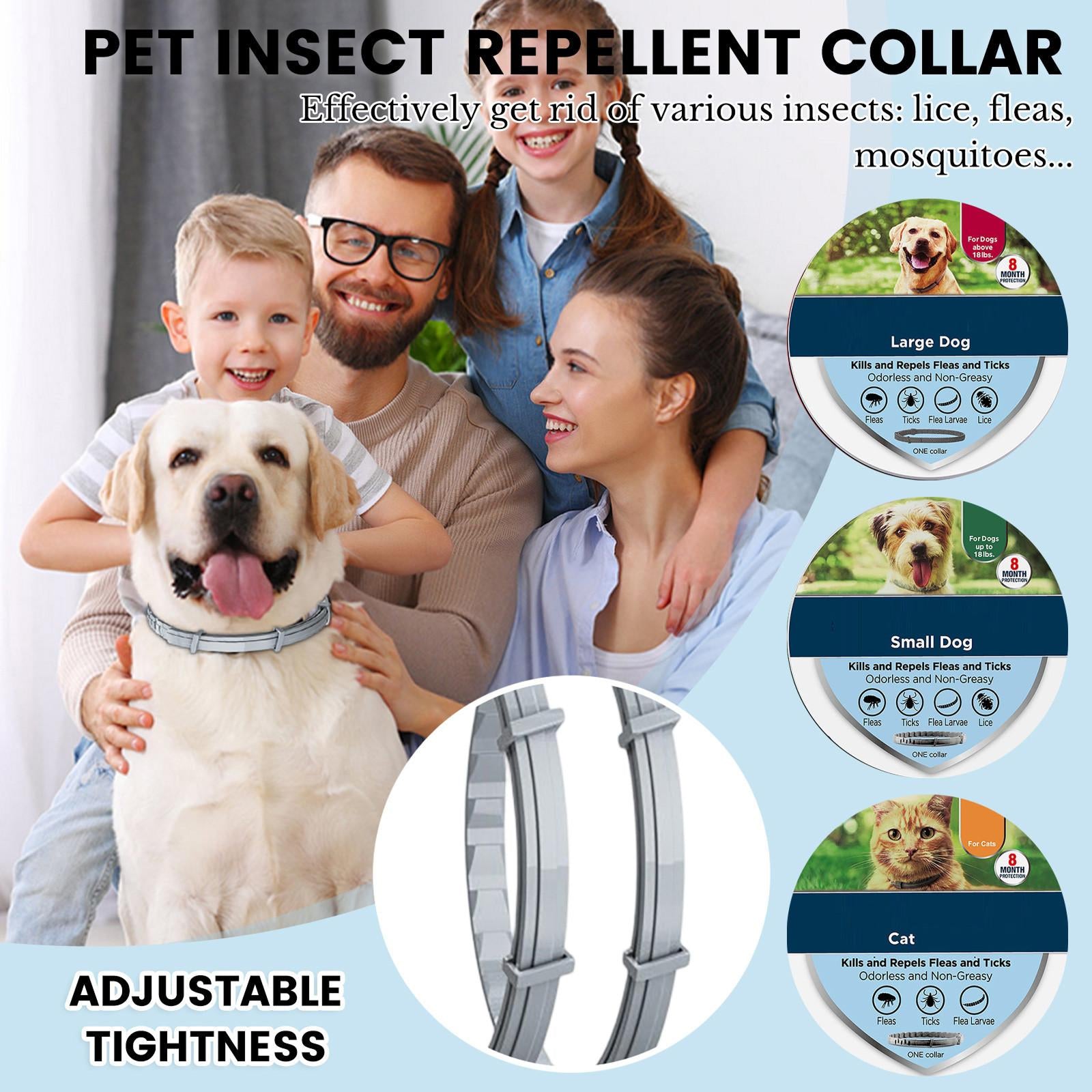 PetBrotex 1