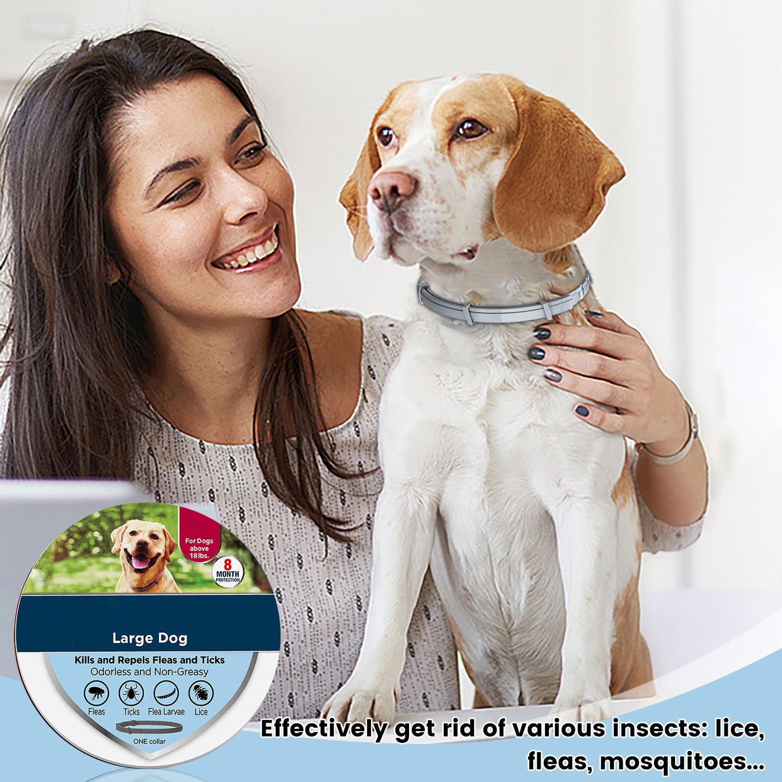 PetBrotex