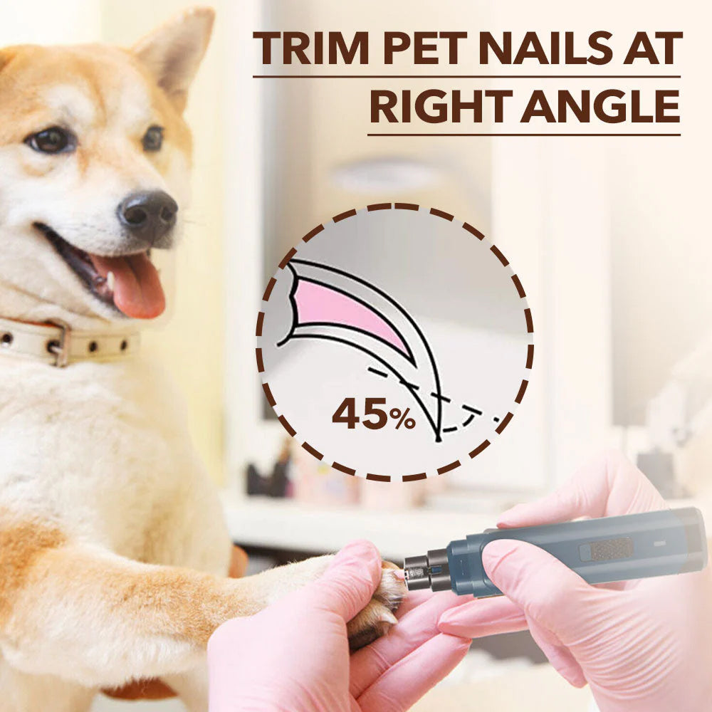 puppi-claw-2-0-img-07.jpg__PID:924aff1c-d937-4e6f-8e84-8eb7f9ee6ef6