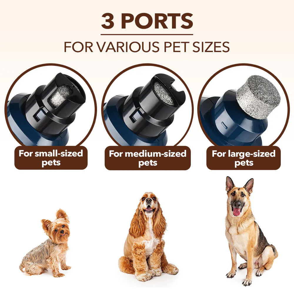puppi-claw-2-0-img-13.jpg__PID:ff1cd937-ce6f-4e84-8eb7-f9ee6ef650af