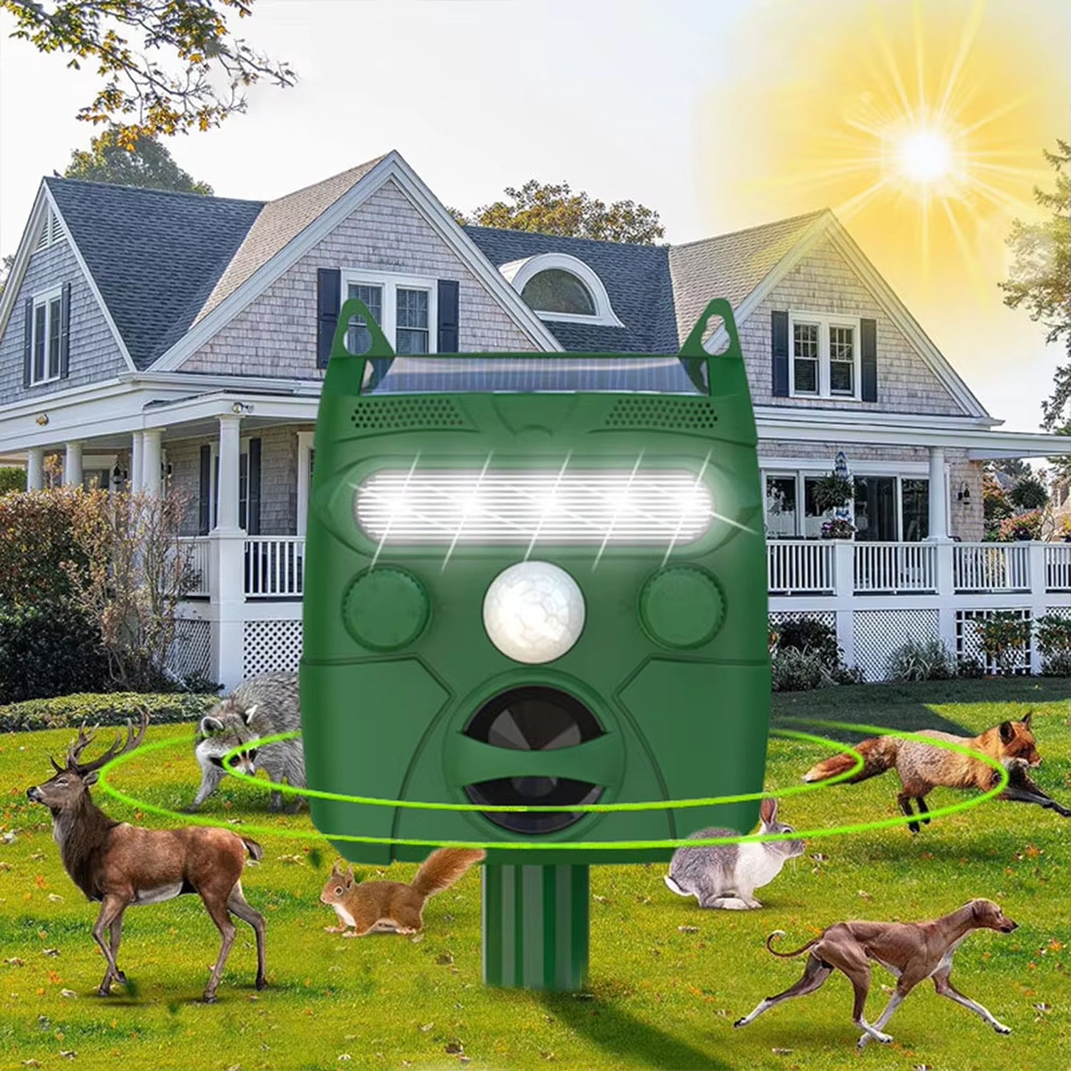 raxillere-img-08.jpg__PID:56bb01dd-b6cd-4cf2-9975-86856e900f9f