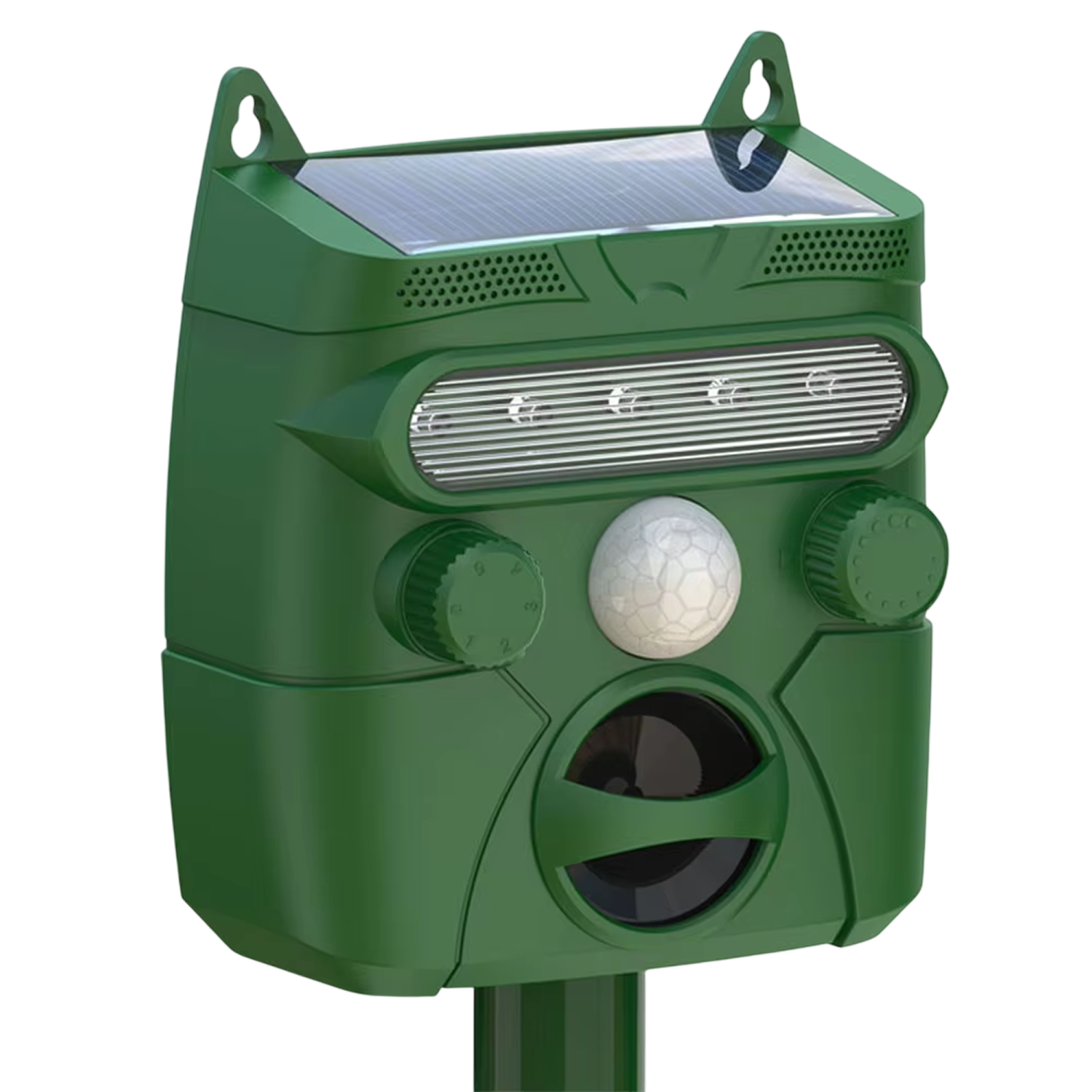 raxillere-img-14.png__PID:3cf29975-8685-4e90-8f9f-ad649e468978