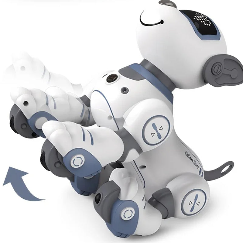 RoboKinek 4
