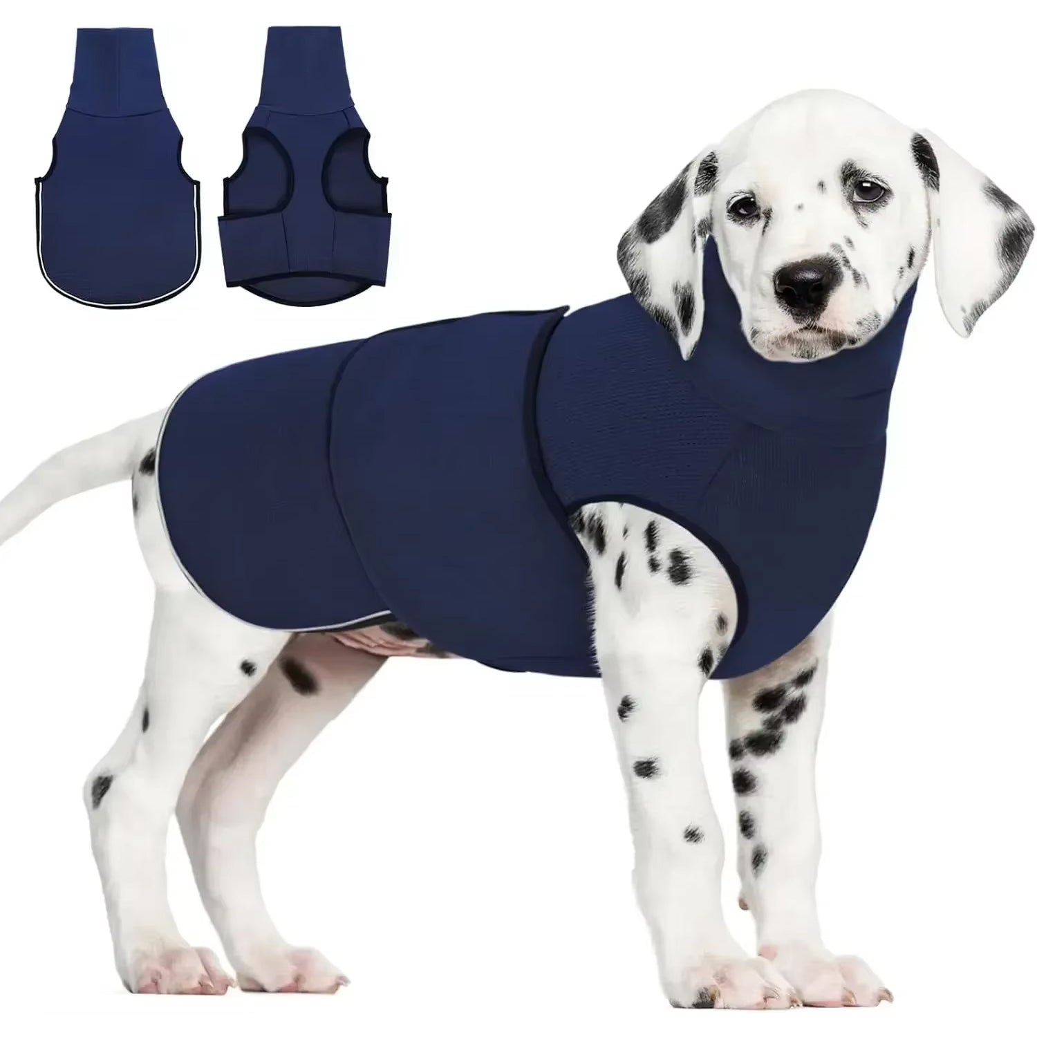 SaforPaw