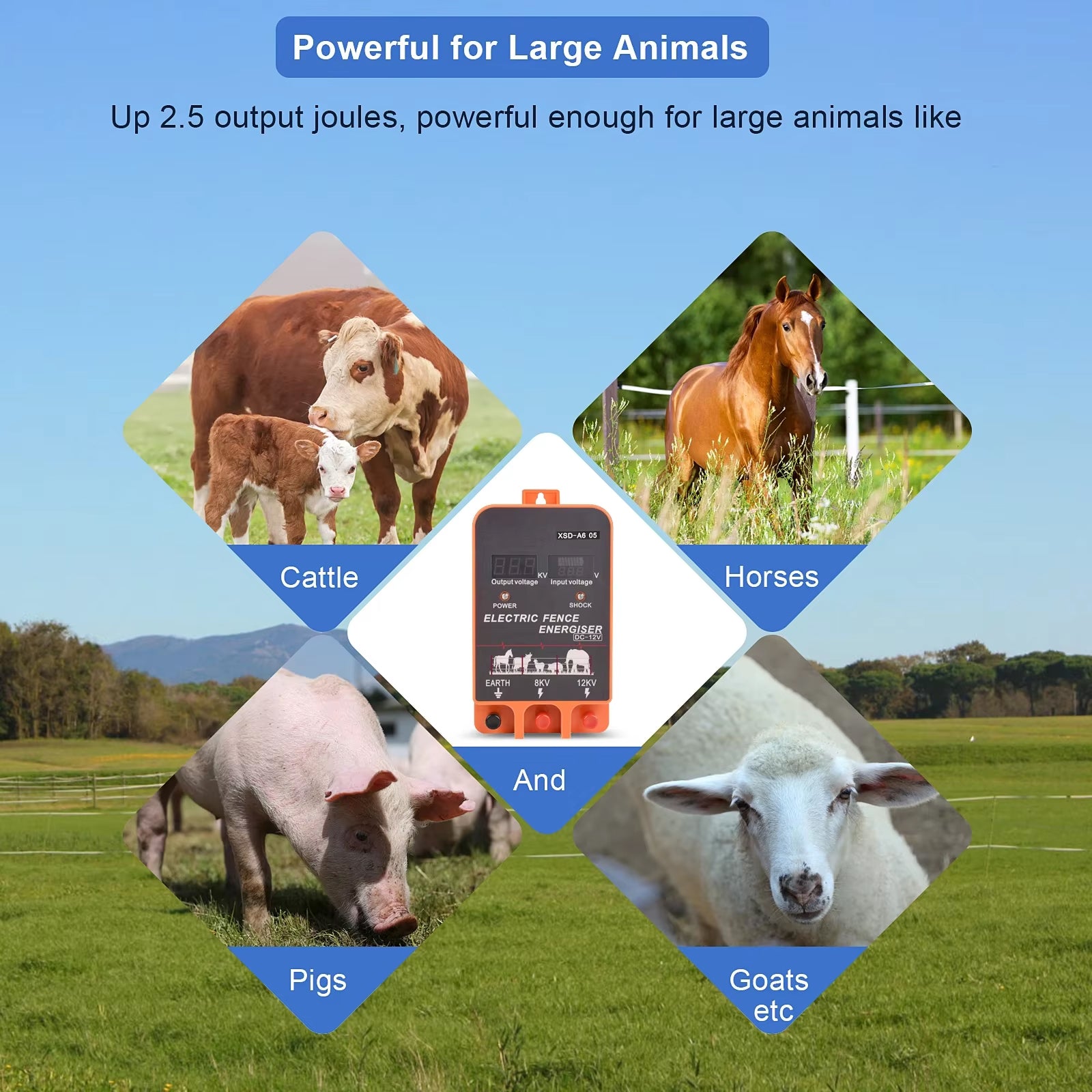 SaveyFarm (Copy)
