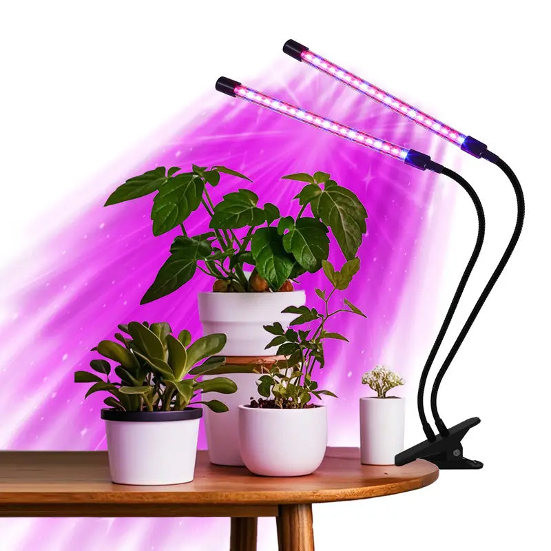 Soleepunk