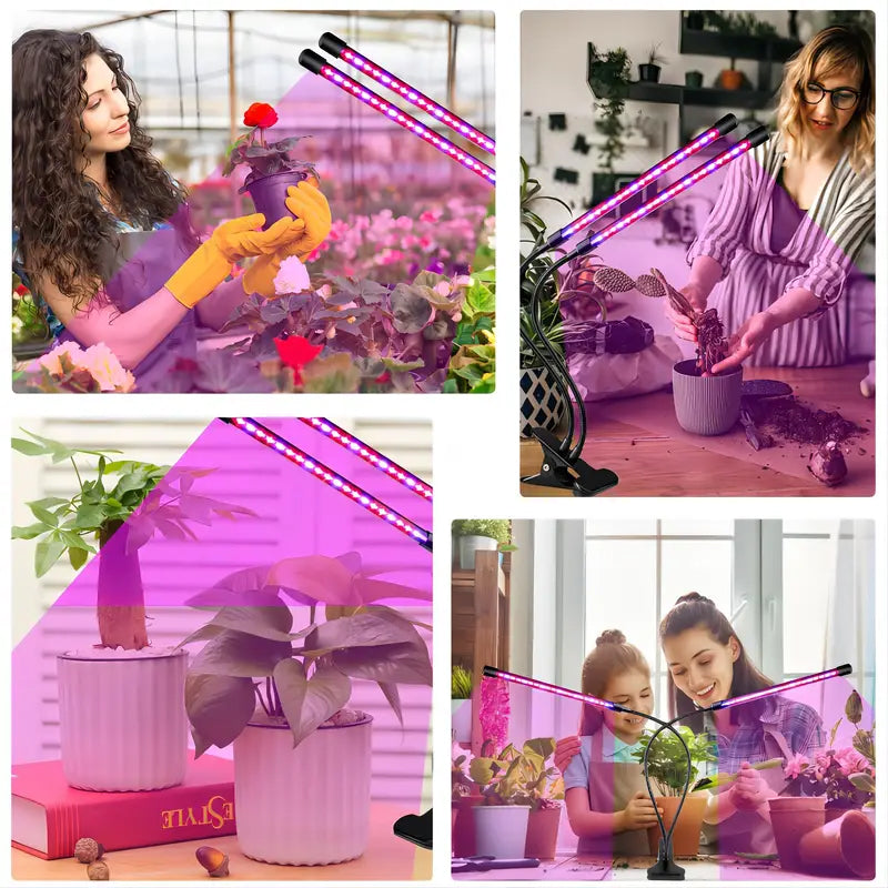 soleepunk-09.jpg__PID:b7540f67-80a1-4889-b0da-04cb25ad9e03