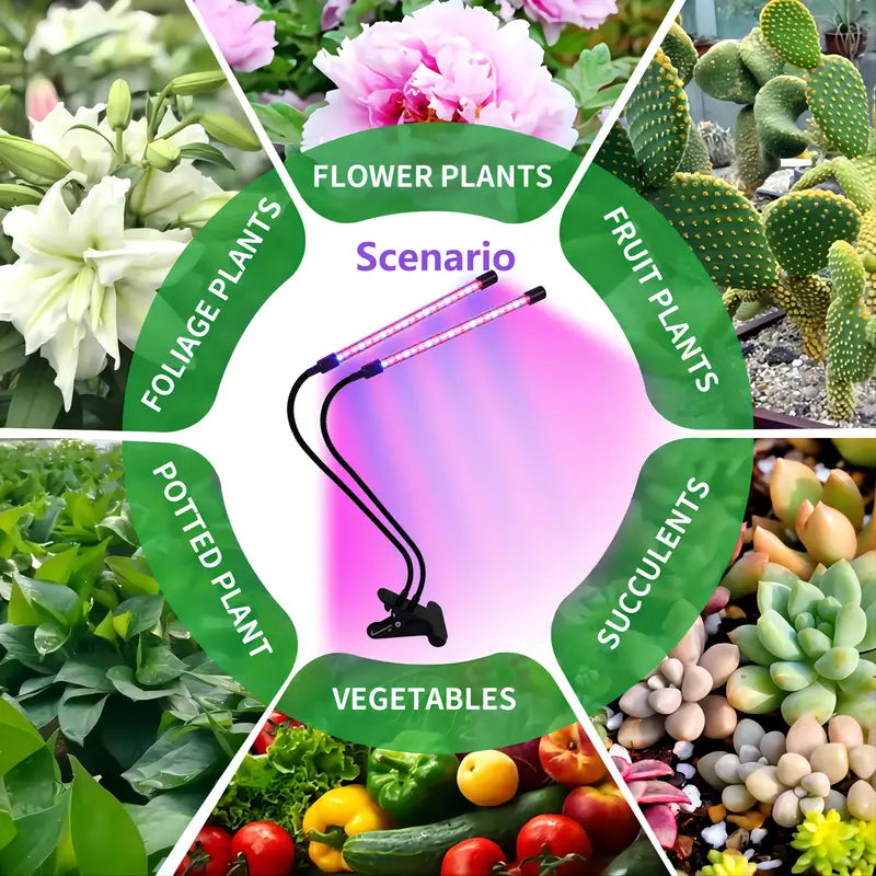 soleepunk-11.jpg__PID:540f6780-a1a8-49f0-9a04-cb25ad9e0376