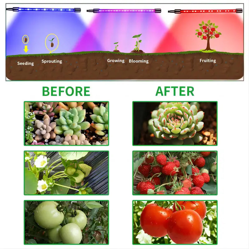 soleepunk-12.jpg__PID:0f6780a1-a889-40da-84cb-25ad9e037601