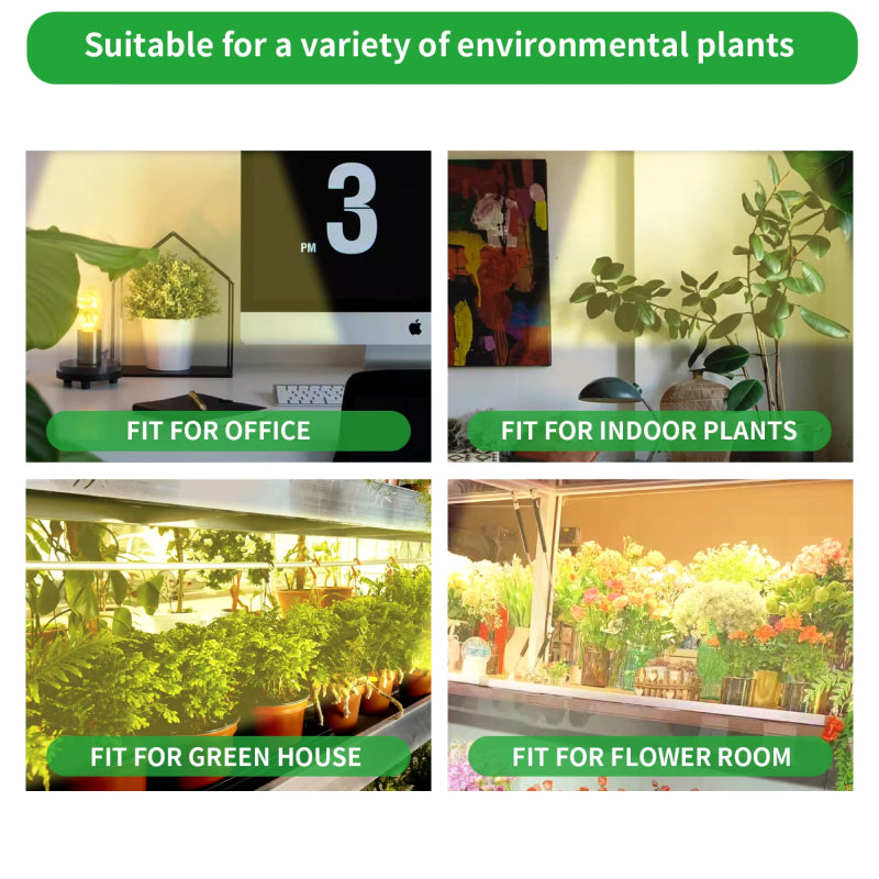 soleepunk-15.jpg__PID:80a1a889-f0da-44cb-a5ad-9e037601fb8a