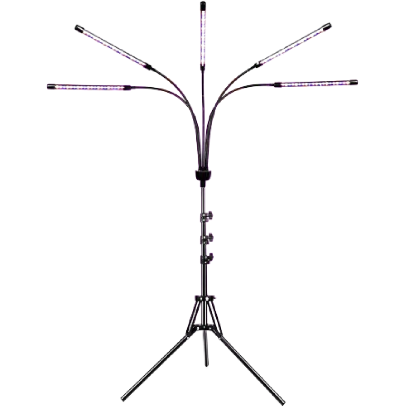 Soleepunk