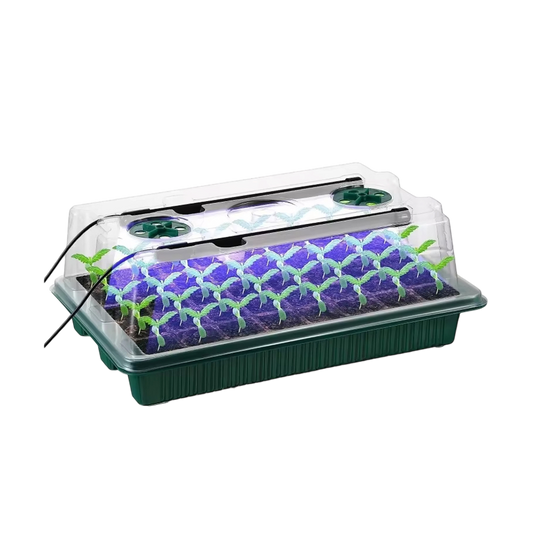 veda-grodi-img-03.png__PID:a917b4ab-d412-4508-8907-d55c40ae18b1