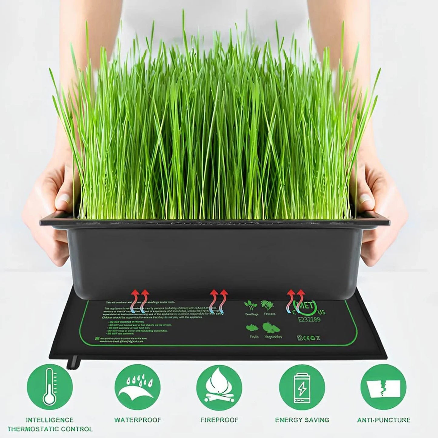WarmyGrow